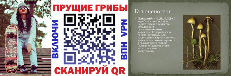 Галлюциногенные грибы прущие грибы  Купить где  Малоярославец 